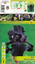 Iris - @//(◕‿◕)\@,