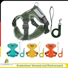 Verstellbares Geschirr für