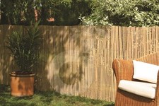 Bambus Sichtschutz CALAMA