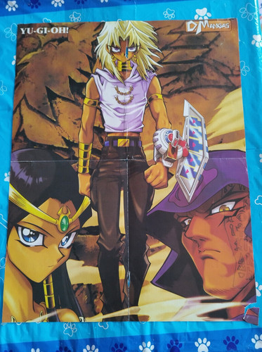 Großes poster dragon ball - poster,