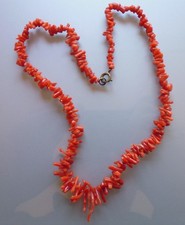 alte   Korallen  - Astkoralle