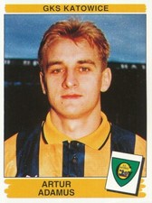080 ARTUR ADAMUS ? POLEN