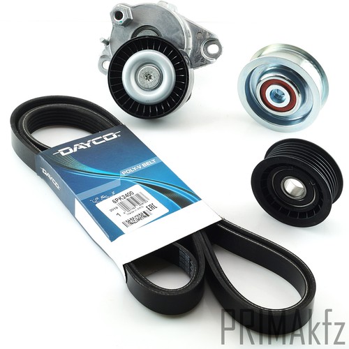 Dayco keilrippenriemen - dayco,
