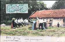 POSTKARTE Landes Droschen Von