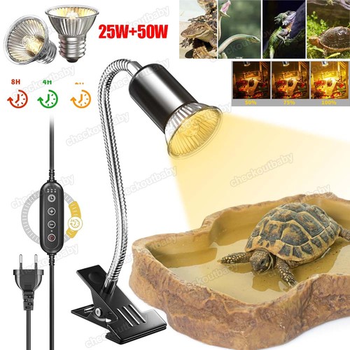 Schildkröten wärmelampe - schildkröten,