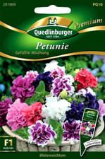 Petunie F1 - üppig blühende gefüllte bunte Mischung  - Petunien Blumen Samen