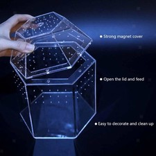 Terrarium für Springspinnen