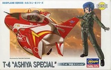 T-4 Ashiya Special Egg Plane