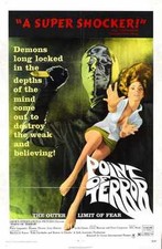 Point Of Terror Poster 01