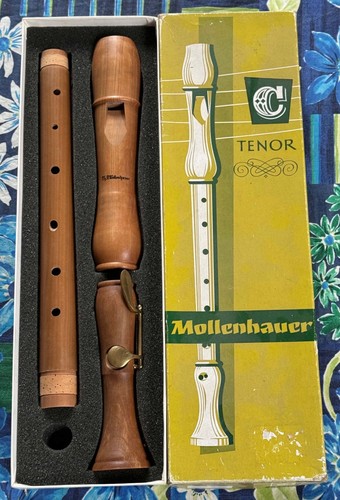 Mollenhauer