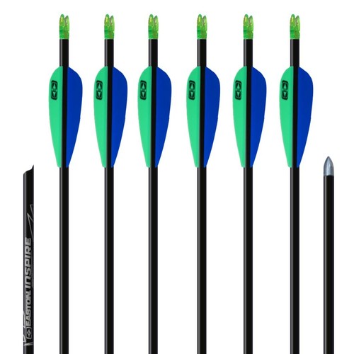 Carbonpfeile easton inspire - 6,