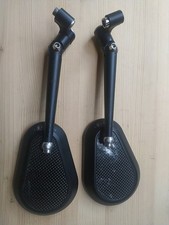 Paar Rhizomspiegel mit