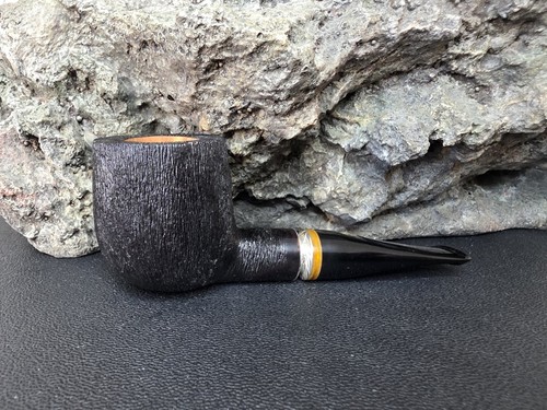 Anatra scottanaso - l'anatra,
