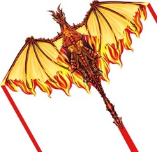 Drachen Kinder Erwachsene