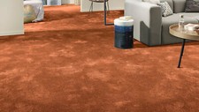 Läufer Vorwerk Lyrica 2F34