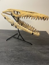 TOP großer original