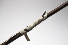 Veredelungsband Fleicoband Veredelungsgummi Obst veredeln Okulation 200 x 6mm