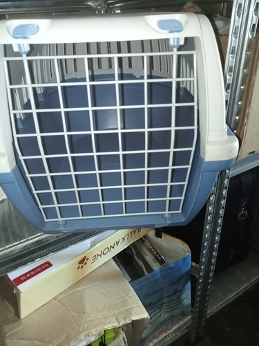Hunde katzen transportbox - hunde,