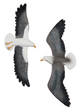 2er Set Möwen Wandhänger Wanddeko maritime Deko Figur Möwe im Flug Höhe 26cm