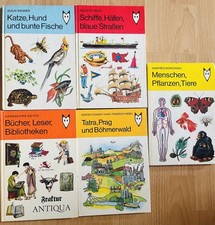 Katze Hund und bunte Fische