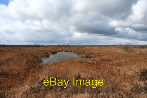 Foto 6x4 teich auf whixall - teich,