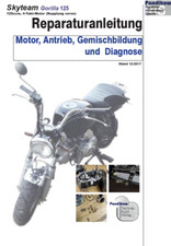 Reparaturanleitung RIS für