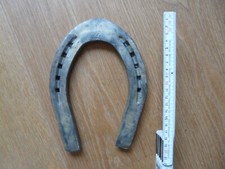 Großes Hufeisen, ungetragen