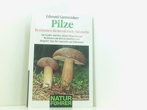 Pilze bestimmen kennenlernen - pilze,