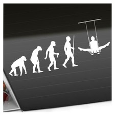 Turnen Ringe Evolution Aufkleber Sticker 25 Farben Neon Matt