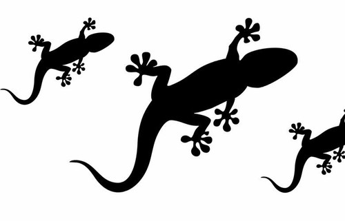 Wandtattoo wandaufkleber gecko - wandtattoo,