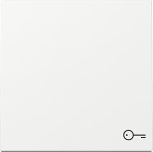 Gira 328703 wippe mit symbol - wippe,