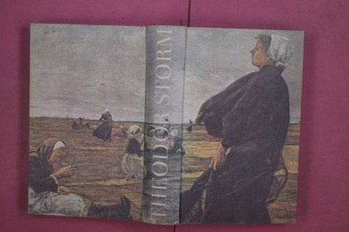 305007 theodor storm - theodor, grauen