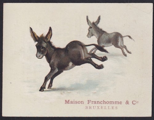 Kaufmannsbild franchomme - franchomme, &