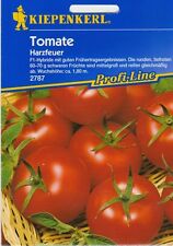  Kiepenkerl  Tomatensamen HARZFEUER F1 HYBRIDE reicht für ca 19 Pflanzen Tomaten