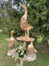 Holzenten mit Wurzeln