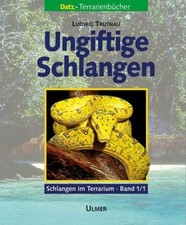 Schlangen im Terrarium 1