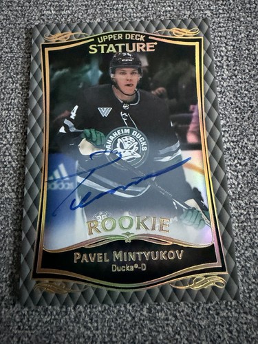 2024 stature hockey - stature,