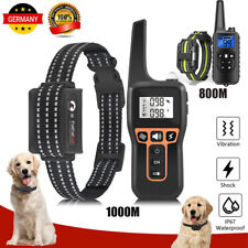 Training Hund Ausbildung