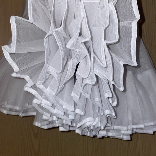 Karneval fasching tutu - fasching,