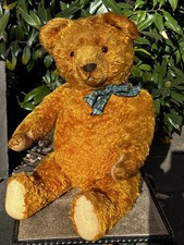 Schöner großer deutscher