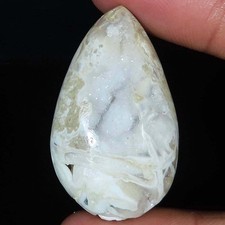 88.45 Cts Natürlich Fossil