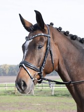 Busse snaffle bridle comfort