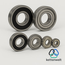 Rillenkugellager 6000 - 6210  2RS 2Z Doppeldichtung Chromstahl 100Cr6 Industrie