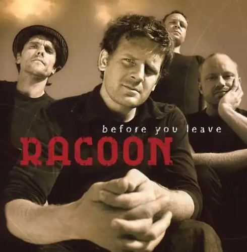 Racoon before you leave - racoon,