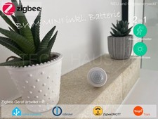 2in1 Zigbee2MQTT Smart Home