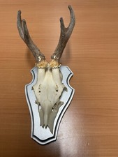 DEKO REHGEWEIH REHGEHÖRN