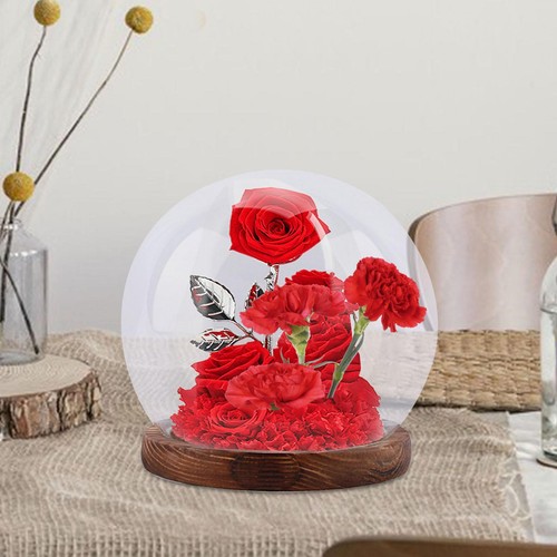 Glas cloche globe dome micro - glas-cloche,