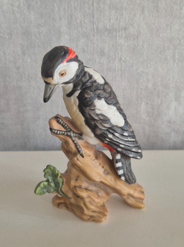 Bundspecht von goebel vogel - von,