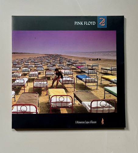 Pink floyd momentary - floyd,