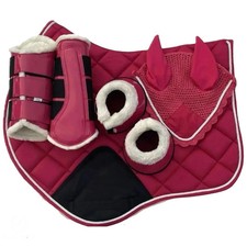 Euro Horse Matchy English